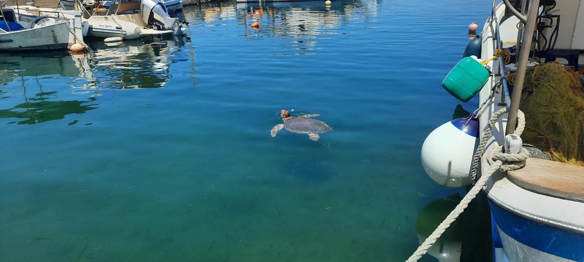 Stavrós Poseidon Suites Hotel المظهر الخارجي الصورة